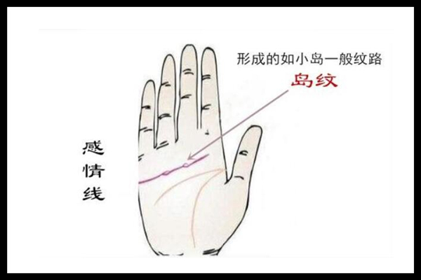 用情很深的女人手相
