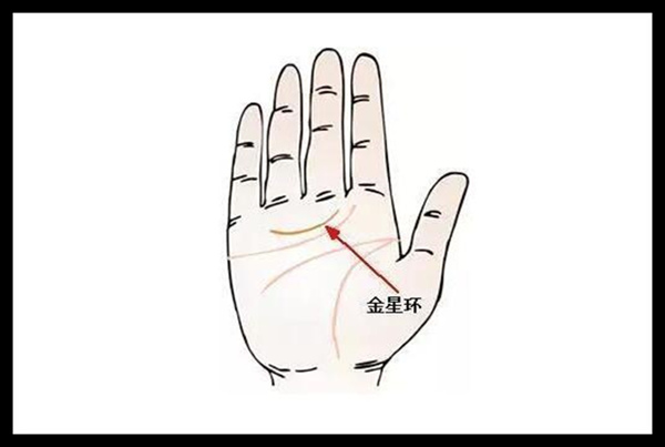桃花异性缘旺的女人手相