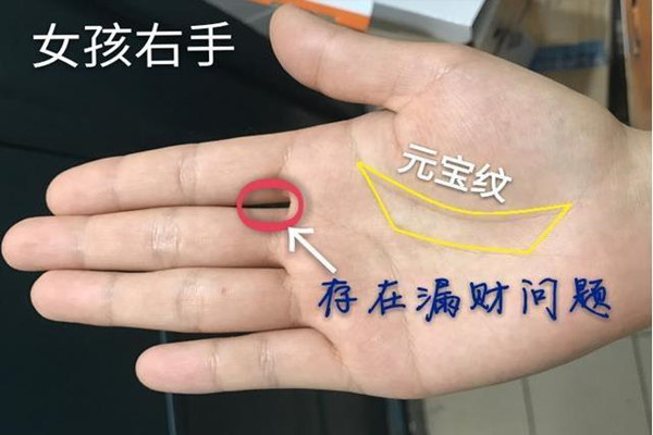 懂理财的女人手相特征