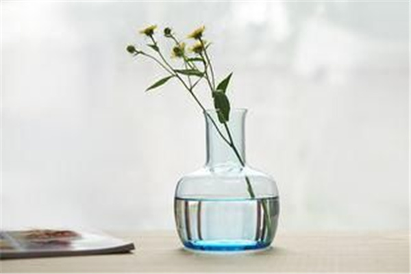 家里放什么样花瓶风水好