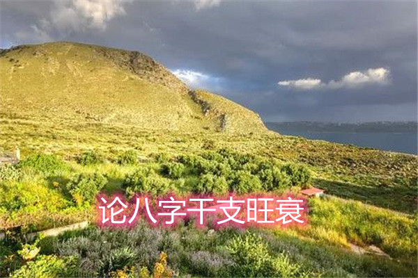 论八字干支旺衰