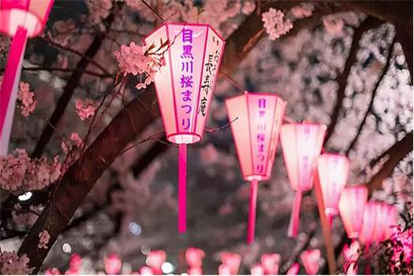 伤官制官成格条件