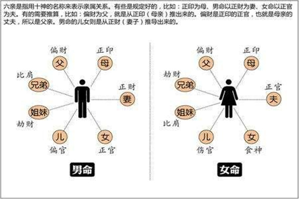 八字中的六亲关系