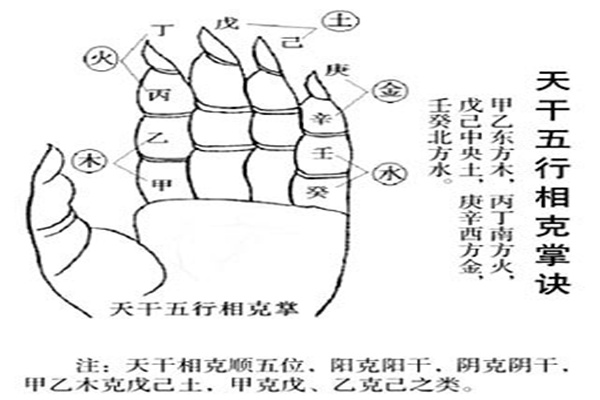 八字十天干精解