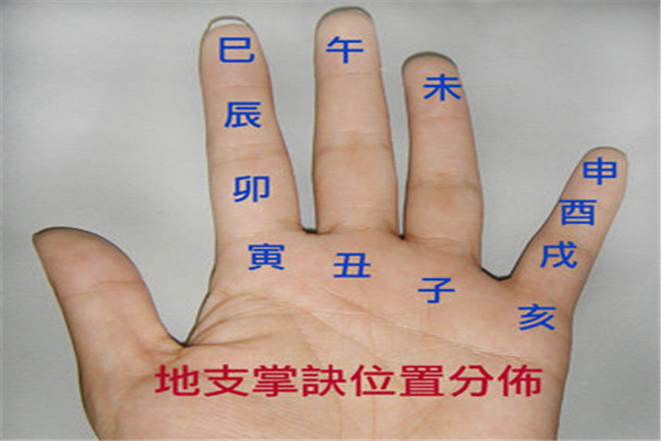 八字十二地支精解