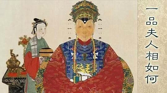 十二地支子午冲取象详解大全