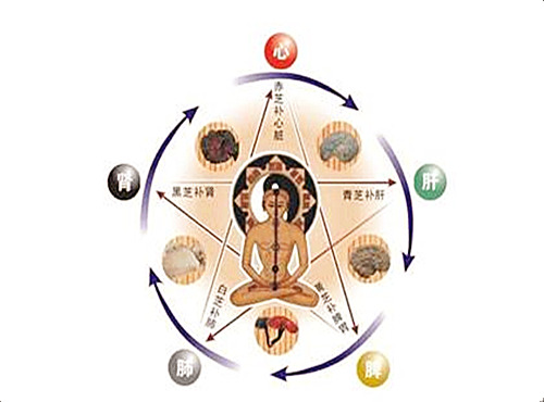 八字中神煞多