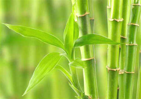 房屋在十字路口处风水相冲怎么办(房屋在十字路口处风水相冲怎么办呢)