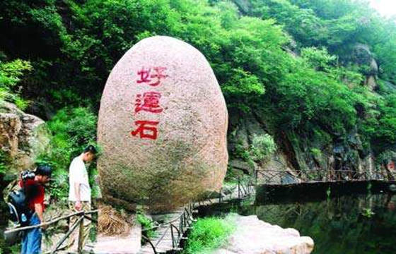 仙人球摆放的风水讲究