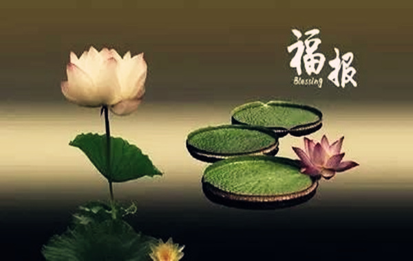 八字看你有无福报