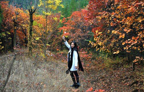 伤官格六神旺度女命