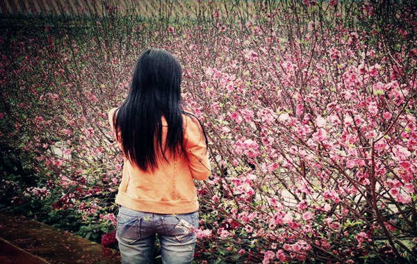 不带正桃花的八字什么样