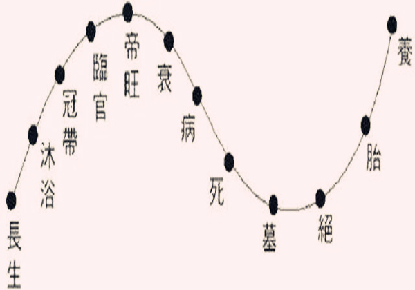 学习面相要点