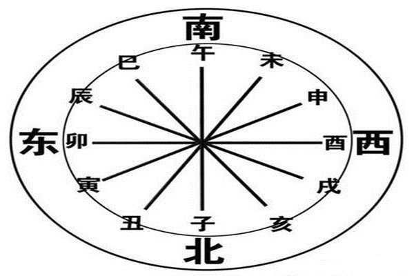 属鼠的人办公室风水布局(2023年属鼠人办公室风水)
