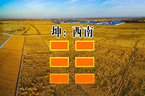 歌唱家的八字特征