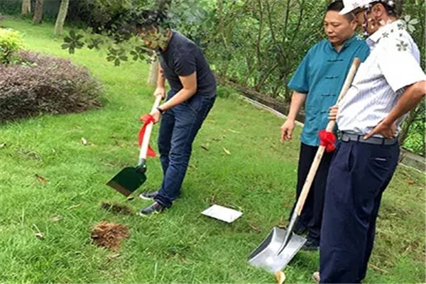 动土如何择日