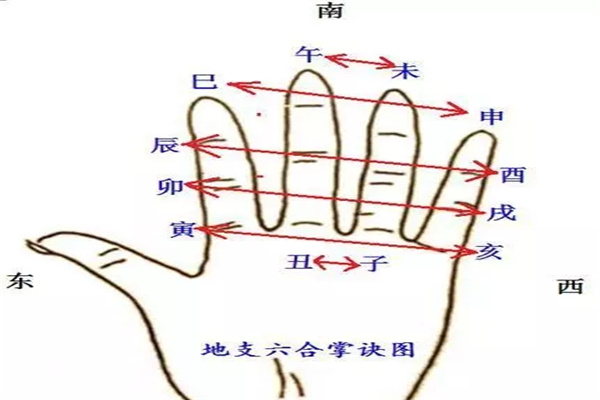 八字地支六合的应用规则技巧