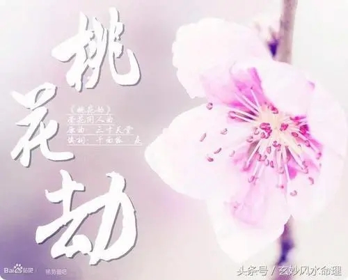 丙火日元的八字如何取用神