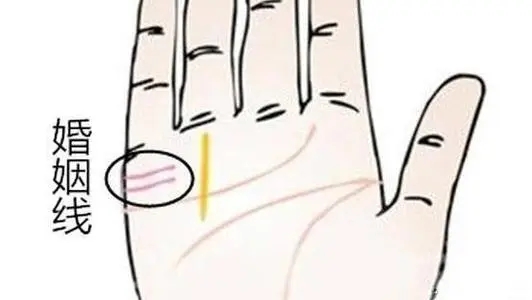 手掌婚姻线看离婚