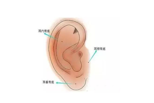 耳朵特征看是否富贵