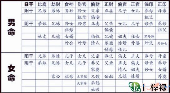 八字柱位代表的基本信息