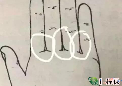 什么样的手相不随便花钱