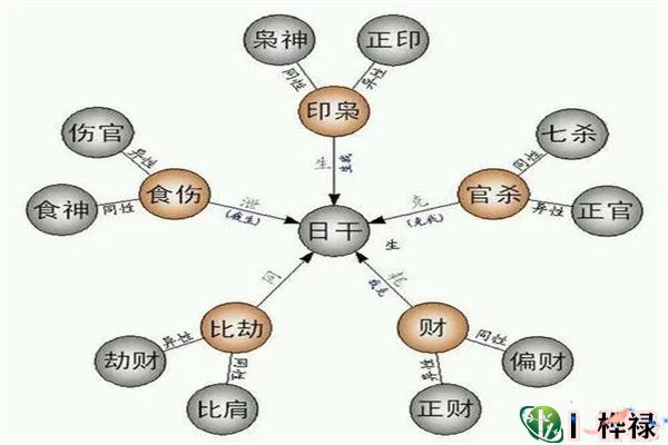 八字十神与日干的关系解读