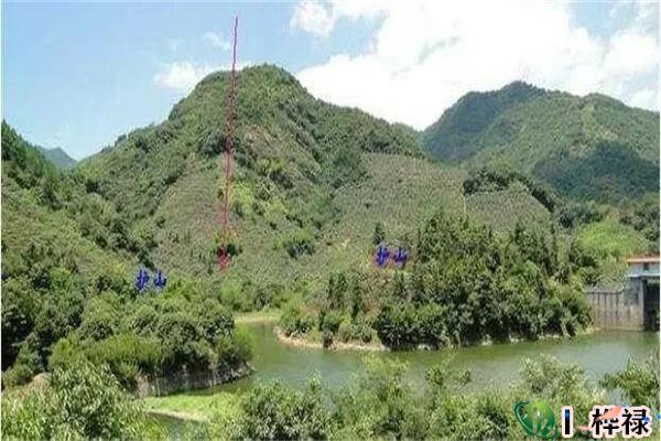 怎么可以知道祖坟是否旺自己