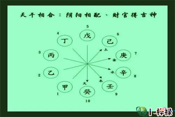 八字天干相合的种类