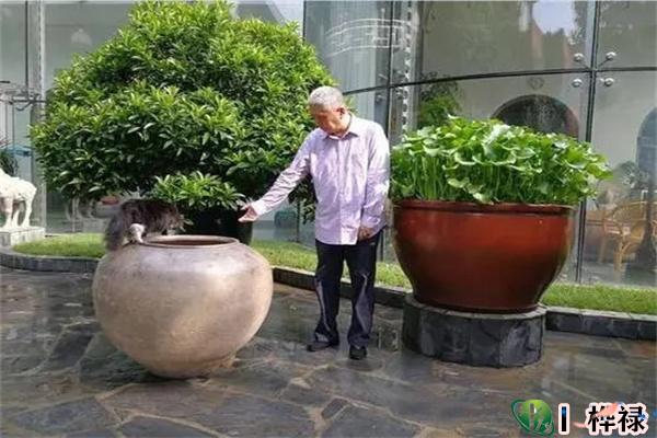 农村水缸摆放在什么位置招财