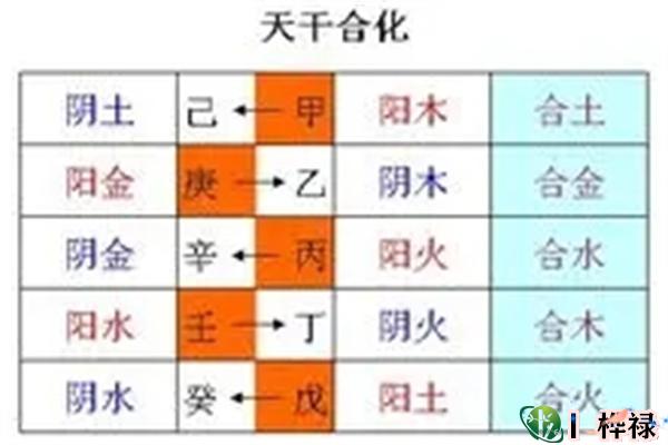 什么是天干五合化气