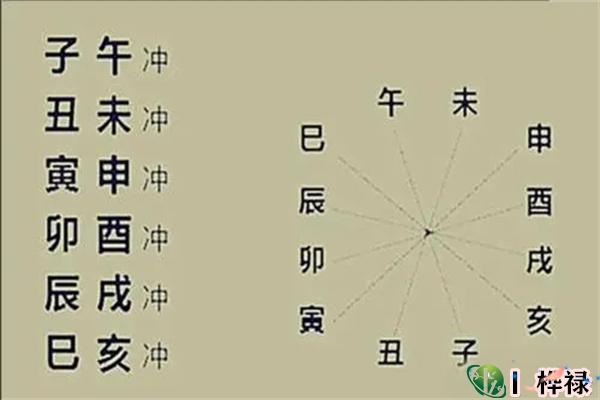 十二地支六冲取象特性,十二地支六冲主事