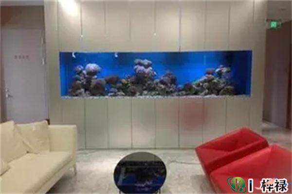 住宅鱼缸摆放需要注意的风水禁忌