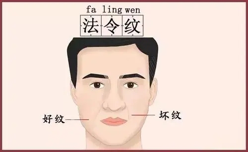 面相长法令纹就代表事业好吗