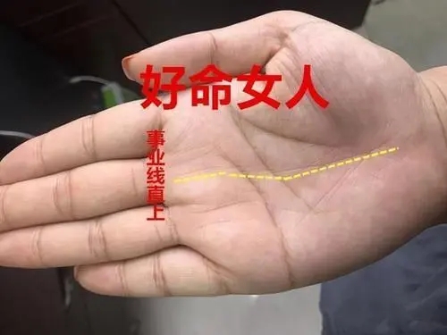 命好的女人手纹有何特征