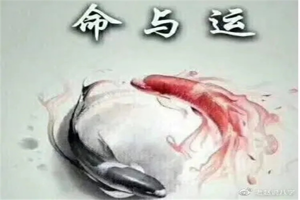 八字命局格局的基本划分