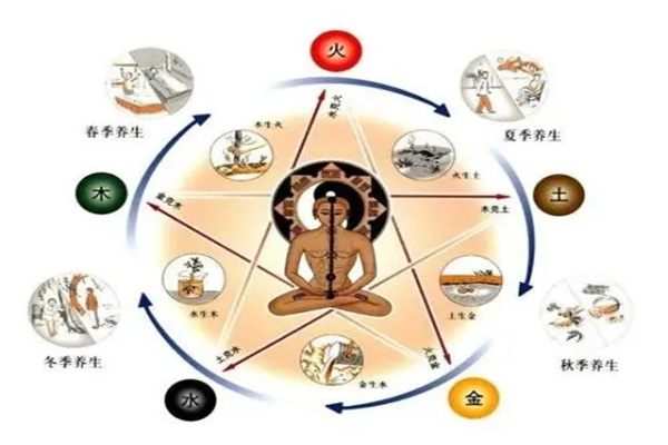 八字代表的身体象义大全