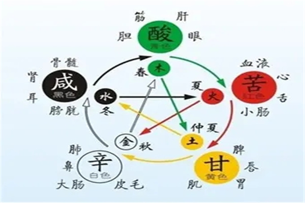 八字代表的身体象义大全