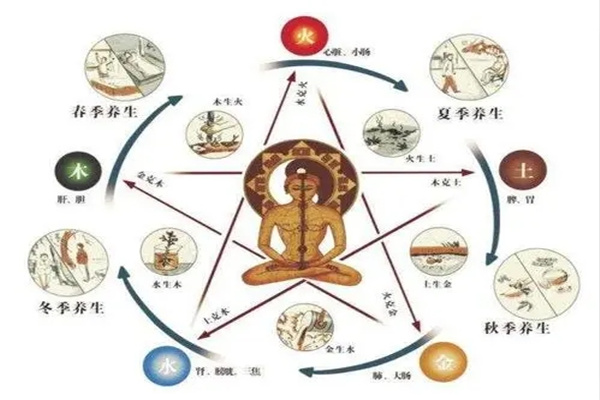 八字看健康技巧