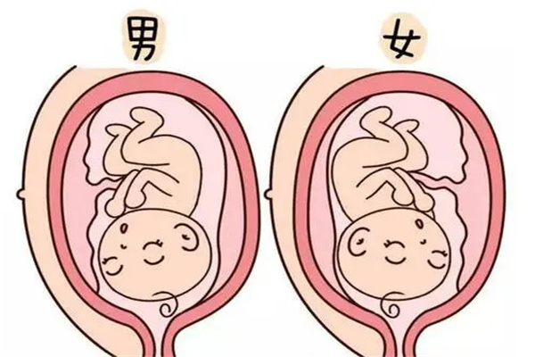 六爻测生男还是生女