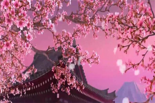 生辰八字论命看桃花信息