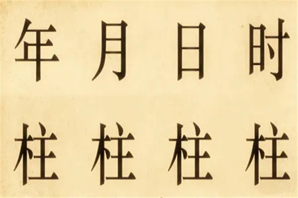 四柱八字时柱能看出什么信息