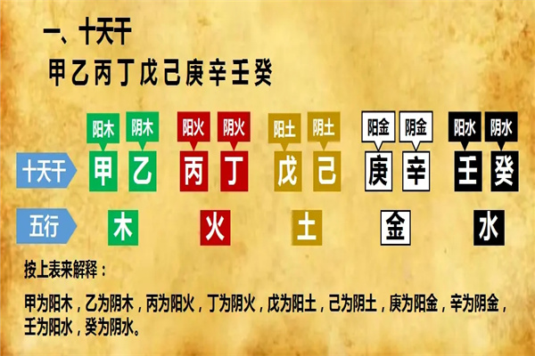 八字十天干类象精解