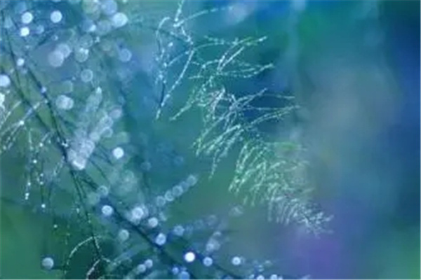 癸水日元的男人命运好吗