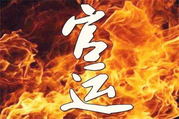 八字如何看官运好不好