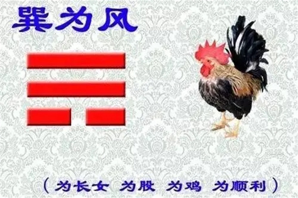 六十四卦:巽为风卦详解