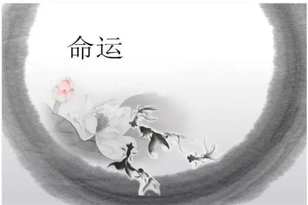 八字比劫食伤同旺格局好吗