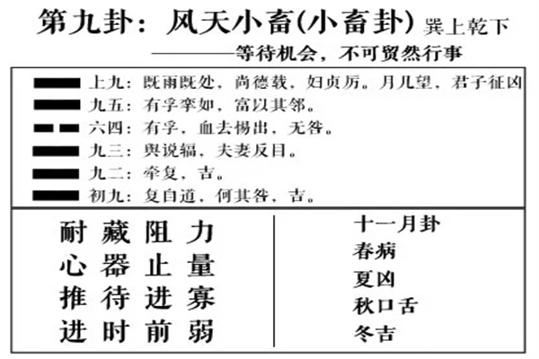 六十四卦:风天小畜卦详解