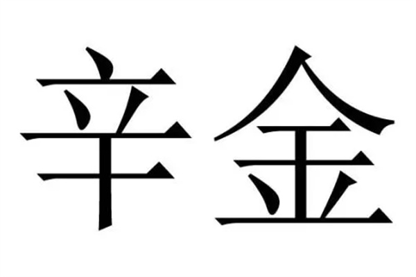 辛金日元的男人命好吗