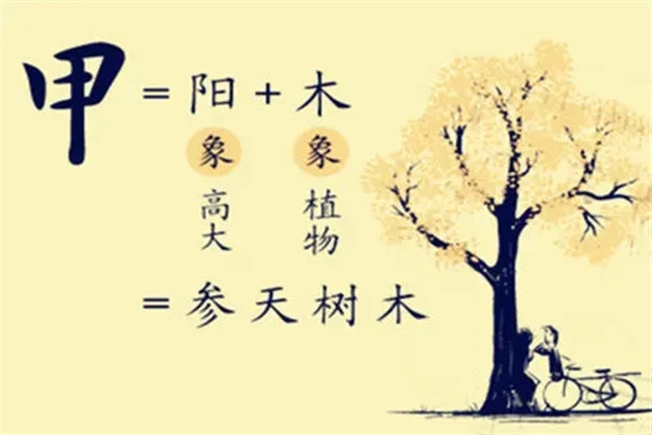 ​甲木日元的女人命运好吗